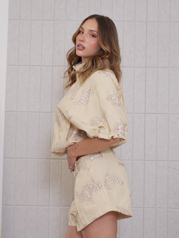 Set Camelia